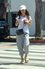 ROBIN ANTIN Out for Iced Drink in Hollywood 05/01/2021