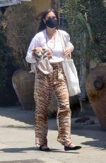 SCOUT WILLIS Out with Her Dog in Los Angeles 05/22/2021