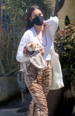 SCOUT WILLIS Out with Her Dog in Los Angeles 05/22/2021