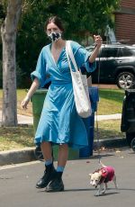 SCOUT WILLIS Out with Her Dog in Los Feliz 05/13/2021