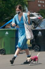 SCOUT WILLIS Out with Her Dog in Los Feliz 05/13/2021