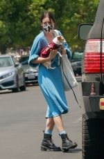 SCOUT WILLIS Out with Her Dog in Los Feliz 05/13/2021