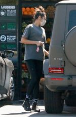 SHAY MITCHEL Out for Grocery Shopping in Los Feliz 05/25/2021