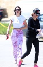 AMELIA HAMLIN and LISA RINNA Out in Los Angeles 06/09/2021