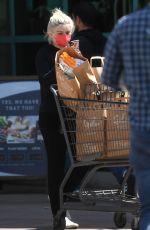 ARIEL WINTER Shopping at Gelson