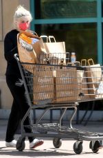 ARIEL WINTER Shopping at Gelson