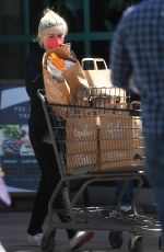 ARIEL WINTER Shopping at Gelson