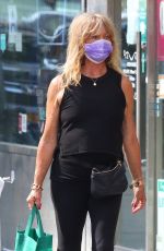 GOLDIE HAWN Out Shopping in New York 06/08/2021
