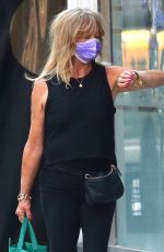 GOLDIE HAWN Out Shopping in New York 06/08/2021