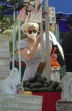 KATE MARA Out Shopping in Los Angeles 06/19/2021
