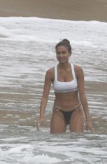 KELLY GALE in Bikini at a Beach in Malibu 06/19/2021