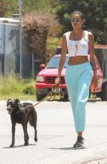 KELLY GALE Out with Her Dog in Malibu 06/16/2021