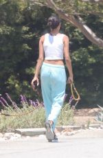 KELLY GALE Out with Her Dog in Malibu 06/16/2021