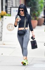 LILY ALLEN Out Shopping in New York 06/08/2021