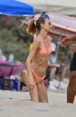 LUDI DELFINO in Bikini at a Beach in Santa Monica 06/19/2021