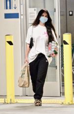 MEGAN FOX Out Shopping in Los Angeles 06/05/2021