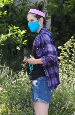 MOLLY HURWITZ Out with Her Dogs in Los Angeles 06/02/2021
