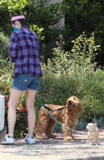 MOLLY HURWITZ Out with Her Dogs in Los Angeles 06/02/2021