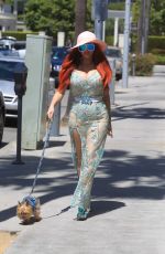 PHOEBE PRICE Out with Her Dog in Beverly Hills 06/08/2021