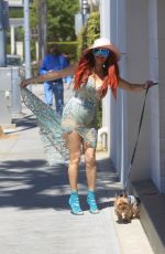 PHOEBE PRICE Out with Her Dog in Beverly Hills 06/08/2021