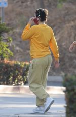 Pregnant HALSEY and Alev Aydin Shopping at Ralphs in Malibu 06/04/2021