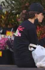 ROSE BYRNE and Bobby Cannavale Out Shopping in Sydney 06/25/2021