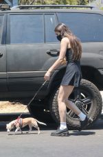 SCOUT WILLIS Out with Her Dog in West Hollywood 06/21/2021