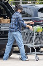 SHANNE DOHERTY Out Shopping in Malibu 06/04/2021