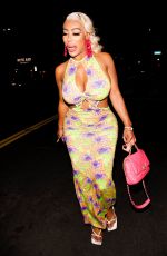 SHANNON and SHANNADE CLERMONT Arrives at Zola Screening in Hollywood 06/11/2021