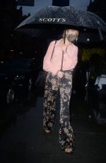 SIENNA MILLER Leaves Scott