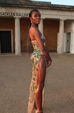 AJ ODUDU at Bulgari Serpenti Metamorphosis Party in London 07/22/2021