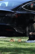 AMANDA SEYFRIED Lunch in a Park in Los Angeles 07/01/2021