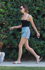 AUBREY PLAZA and Jeff Baena Out with Their Dogs in Los Feliz 07/25/2021