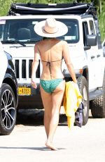 BETHENNY FRANKEL in Bikini at Sag Harbor Beach 07/24/2021