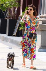 CARLA GUGINO Out with Her Dog in New York 07/24/2021