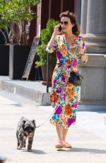 CARLA GUGINO Out with Her Dog in New York 07/24/2021