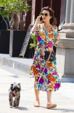 CARLA GUGINO Out with Her Dog in New York 07/24/2021