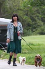DAISY LOWE Out with Her Dog in Primrose Hill 07/01/2021