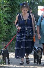 HELENA BONHAM CARTER Out with Her Dogs in London 07/18/2021