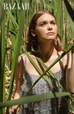 HOLLAND RODEN in Harper