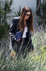 JANICE DICKINSON Out in Los Angeles 06/30/2021