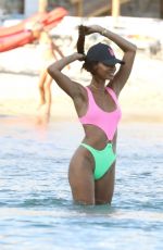 JOAN SMALLS in Bikini at a Beach in Mykonos 07/11/2021