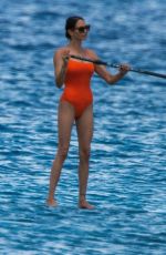 LAUREN SILVERMAN in Swimsuit Paddleboarding in Barbados 07/25/2021