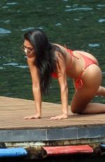 NICOLE SCHERZINGER in a Red Bikini Celebrates Her 43rd Birthday in Lake Como 06/28/2021