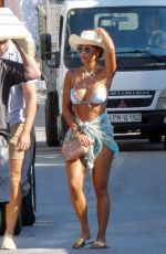 NICOLE SCHERZINGER in Bikini and Thom Evans Out in Mykonos 07/03/2021