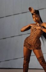 NORMANI and CARDI B - Wild Side Promos, 2021