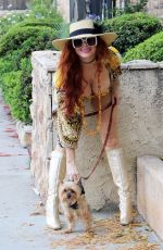PHOEBE PRICE Getting a Parking Ticket in Los Angeles 07/06/2021