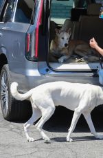 REGINA KING Arrives at Her Home in Los Feliz 07/05/2021