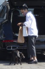 TESSA THOMPSON Out Shopping in West Hollywood 06/28/2021