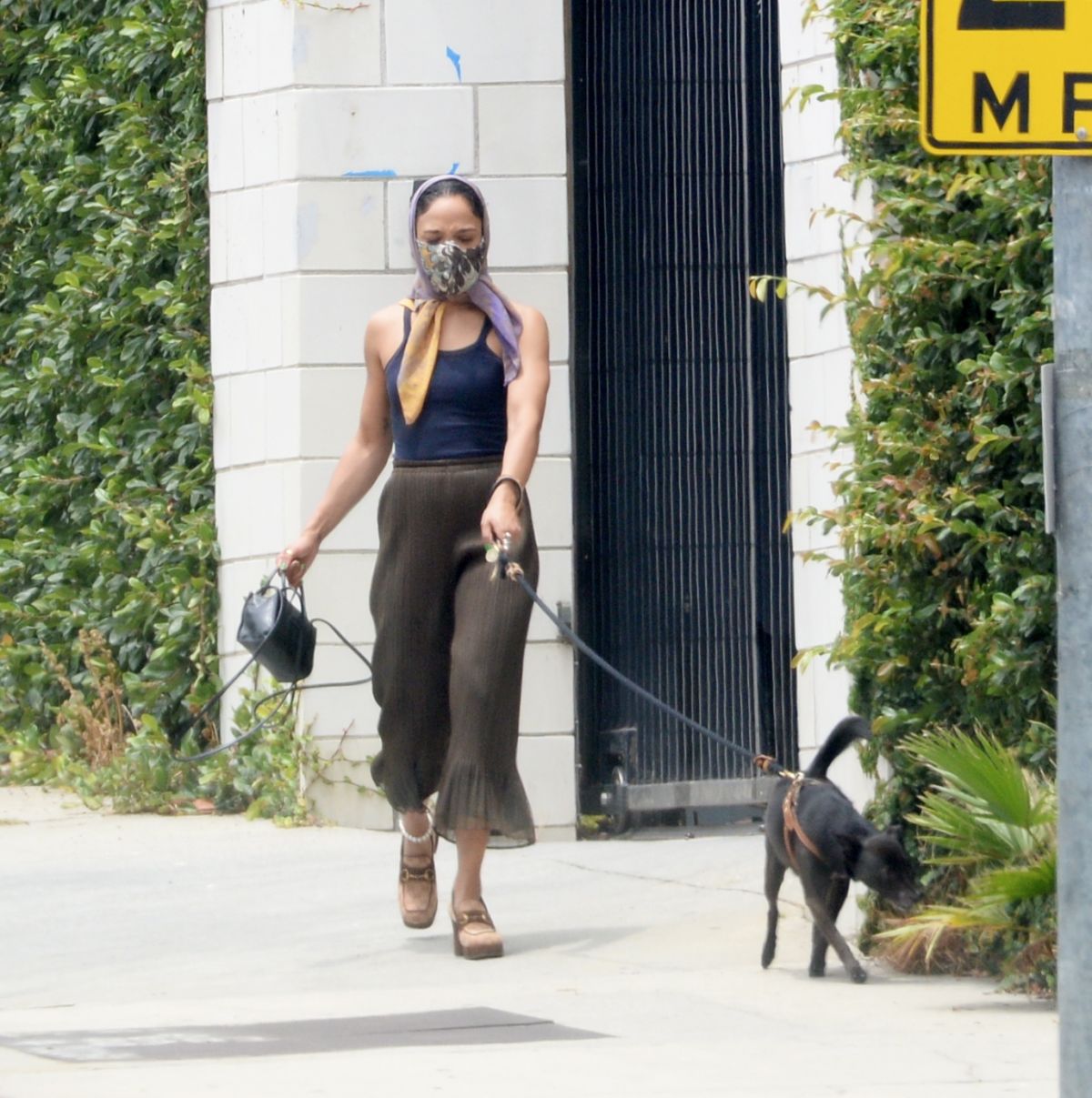 TESSA THOMPSON Out with Her Dog in Hollywood 07/02/2021 – HawtCelebs